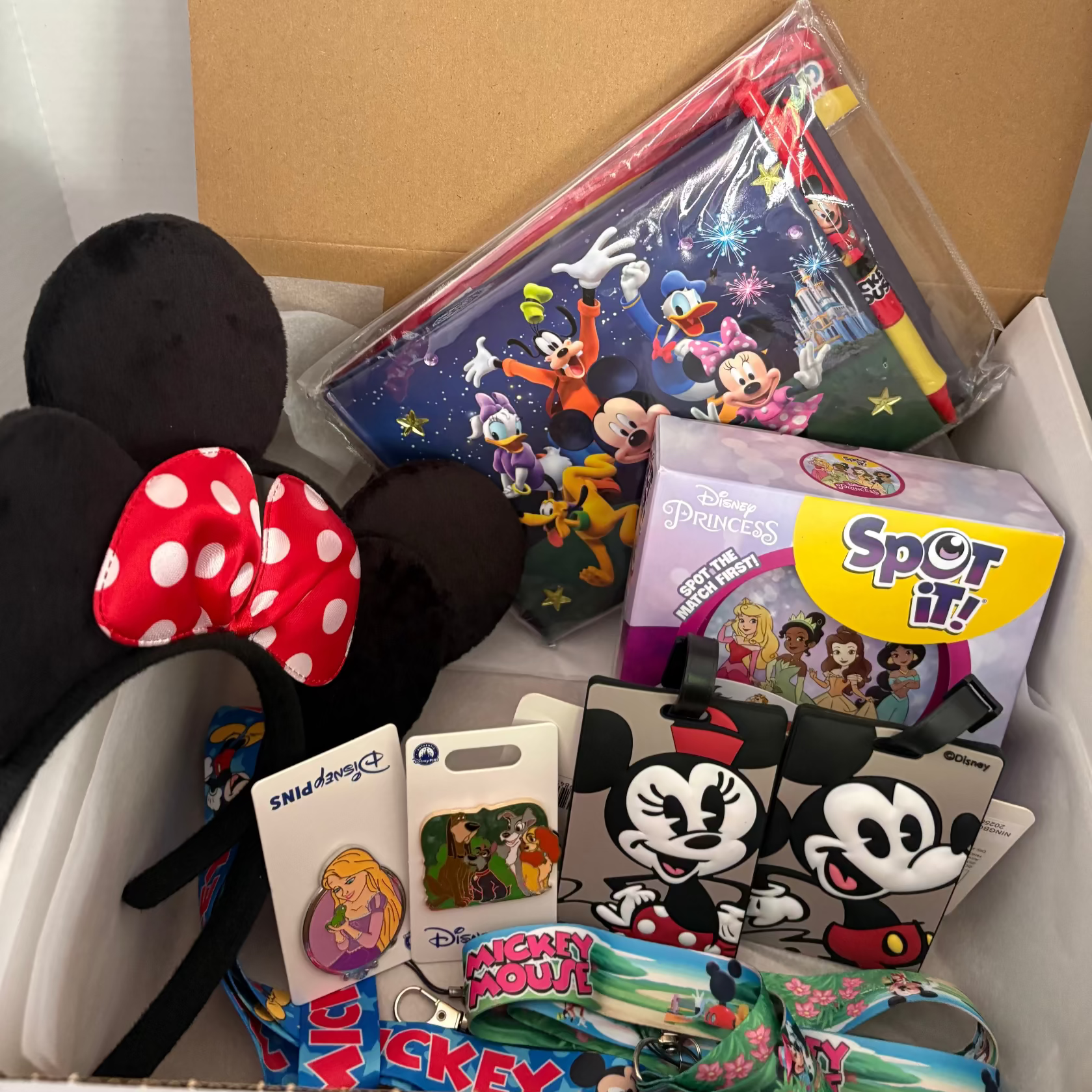 "We're Going to Disney!" Box