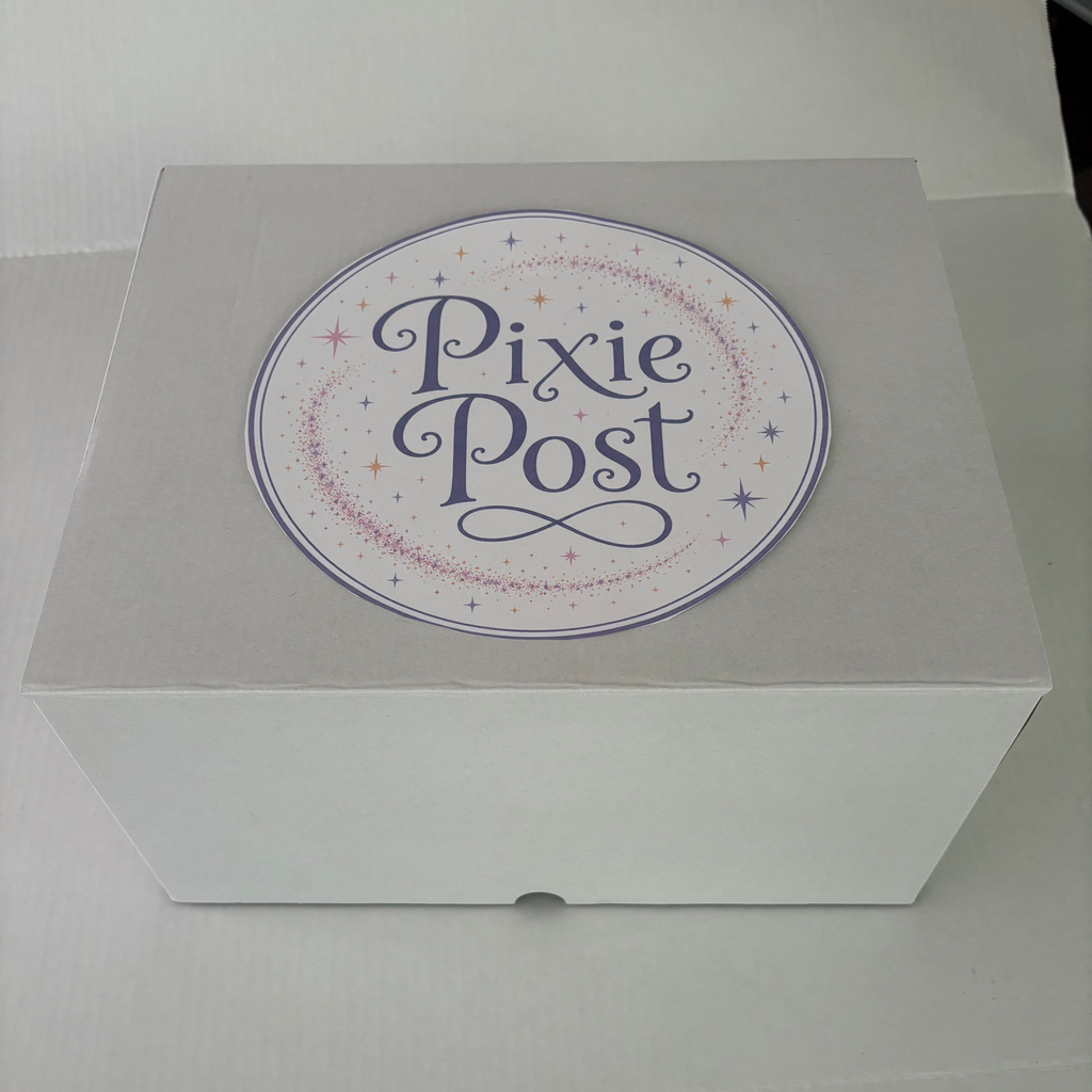 "We're Going to Disney!" Box