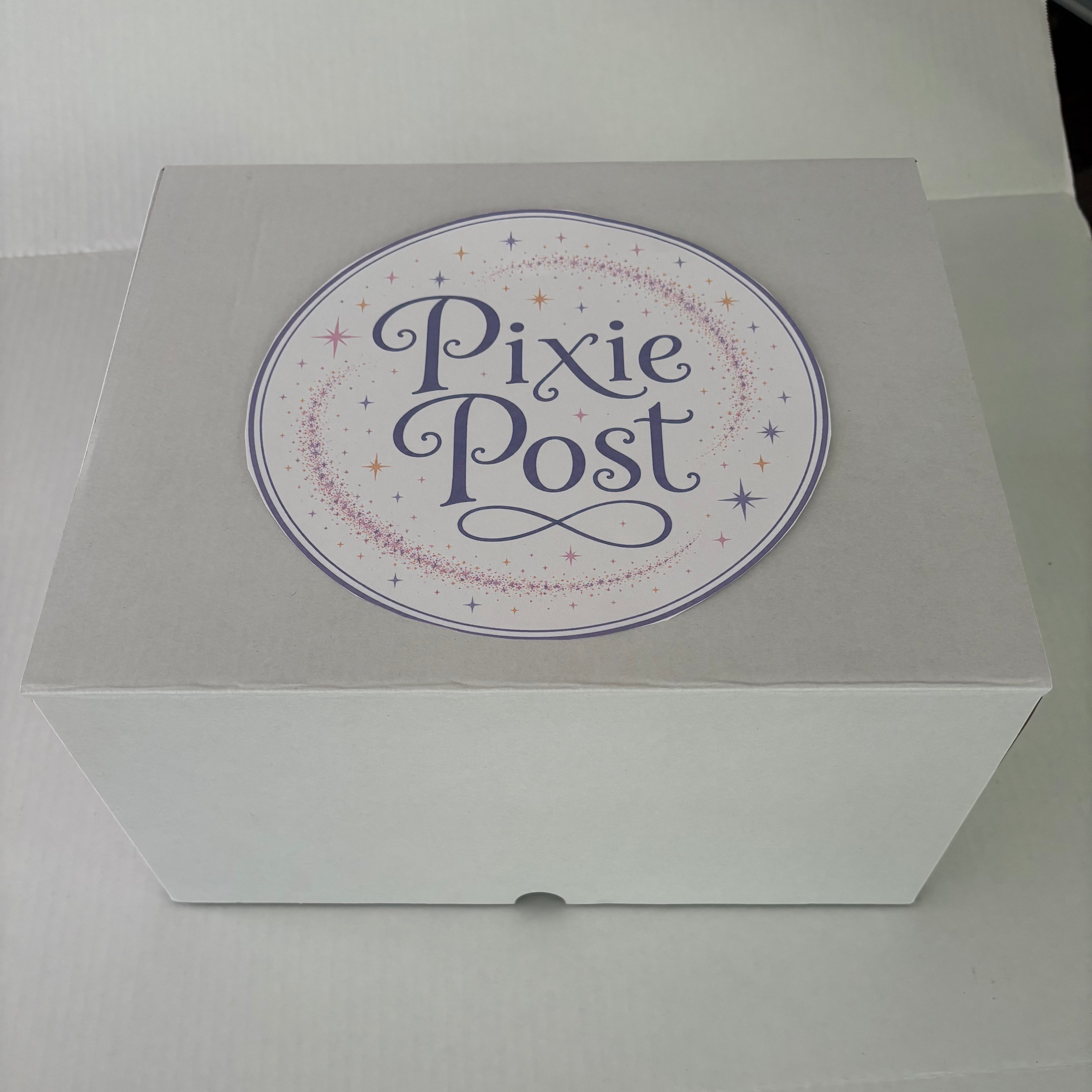 "We're Going to Disney!" Box