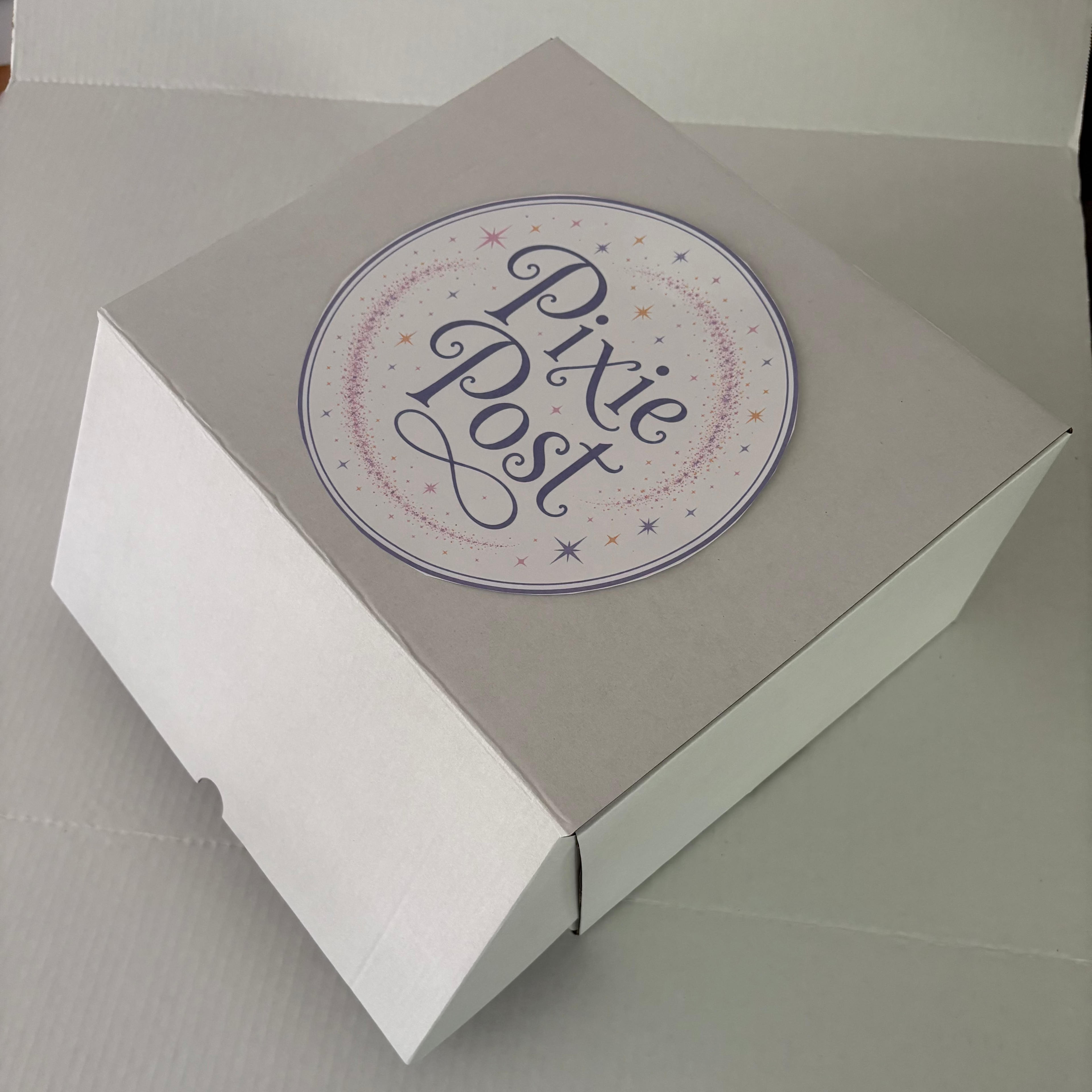 "We're Going to Disney!" Box
